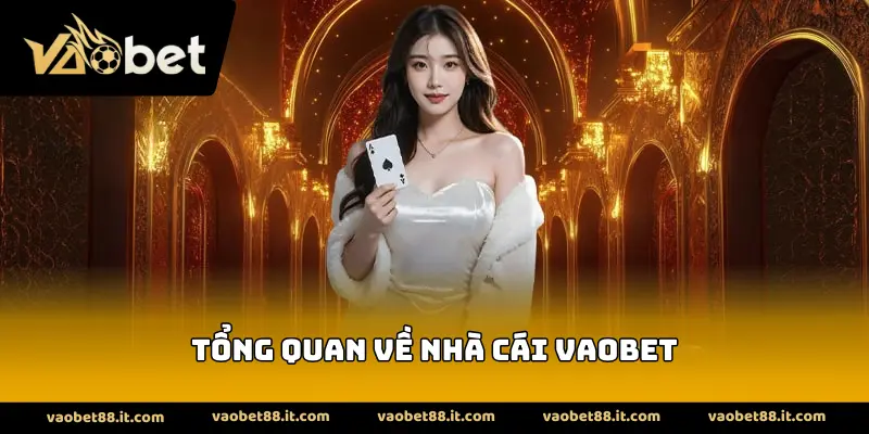 Tổng quan về nhà cái VAOBET