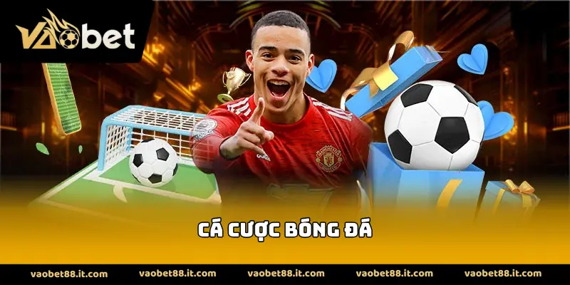 Cá Cược Bóng Đá